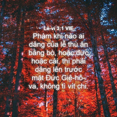 Picture 04 - Lê-vi 3:1 VIE - Phàm khi nào ai dâng của lễ thù ân - Bible Verse Picture