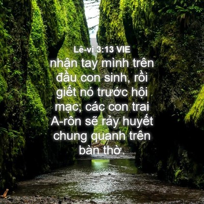 Picture 04 - Lê-vi 3:13 VIE - nhận tay mình trên đầu con sinh, rồi - Bible Verse Picture