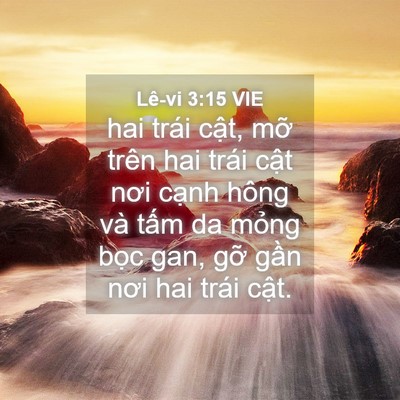 Picture 04 - Lê-vi 3:15 VIE - hai trái cật, mỡ trên hai trái cật nơi - Bible Verse Picture