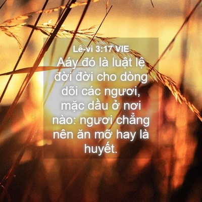 Picture 04 - Lê-vi 3:17 VIE - Aáy đó là luật lệ đời đời cho dòng - Bible Verse Picture
