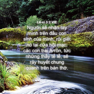 Picture 04 - Lê-vi 3:2 VIE - Người sẽ nhận tay mình trên đầu con - Bible Verse Picture