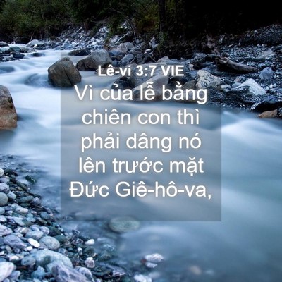 Picture 04 - Lê-vi 3:7 VIE - Vì của lễ bằng chiên con thì phải - Bible Verse Picture