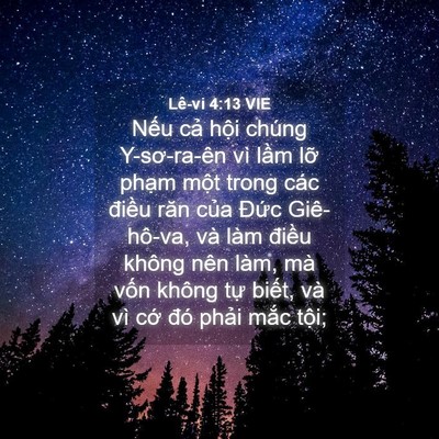 Picture 04 - Lê-vi 4:13 VIE - Nếu cả hội chúng Y-sơ-ra-ên vì lầm - Bible Verse Picture