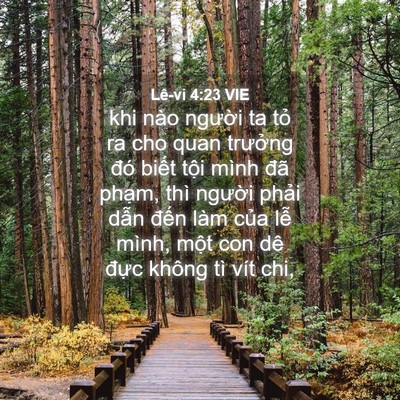Picture 04 - Lê-vi 4:23 VIE - khi nào người ta tỏ ra cho quan trưởng - Bible Verse Picture