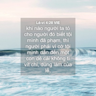 Picture 04 - Lê-vi 4:28 VIE - khi nào người ta tỏ cho người đó - Bible Verse Picture