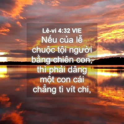 Picture 04 - Lê-vi 4:32 VIE - Nếu của lễ chuộc tội người bằng - Bible Verse Picture