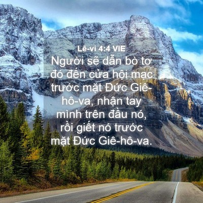 Picture 04 - Lê-vi 4:4 VIE - Người sẽ dẫn bò tơ đó đến cửa - Bible Verse Picture