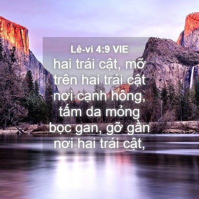 Picture 04 - Lê-vi 4:9 VIE - hai trái cật, mỡ trên hai trái cật nơi - Bible Verse Picture