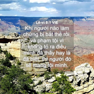 Picture 04 - Lê-vi 5:1 VIE - Khi người nào làm chứng bị bắt thề - Bible Verse Picture