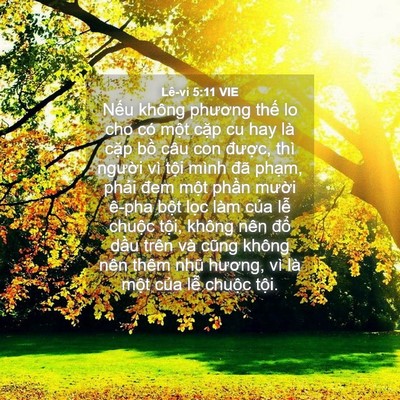 Picture 04 - Lê-vi 5:11 VIE - Nếu không phương thế lo cho có một - Bible Verse Picture