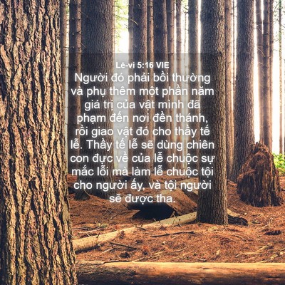 Picture 04 - Lê-vi 5:16 VIE - Người đó phải bồi thường và phụ - Bible Verse Picture