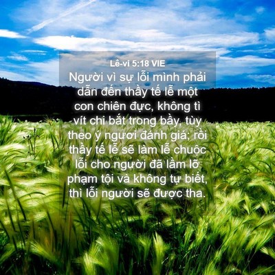 Picture 04 - Lê-vi 5:18 VIE - Người vì sự lỗi mình phải dẫn đến - Bible Verse Picture
