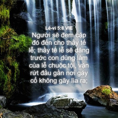 Picture 04 - Lê-vi 5:8 VIE - Người sẽ đem cặp đó đến cho thầy - Bible Verse Picture
