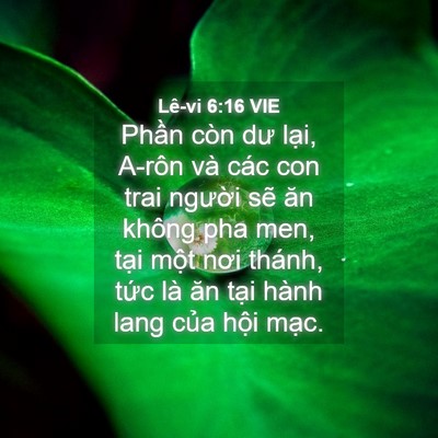 Picture 04 - Lê-vi 6:16 VIE - Phần còn dư lại, A-rôn và các con trai - Bible Verse Picture