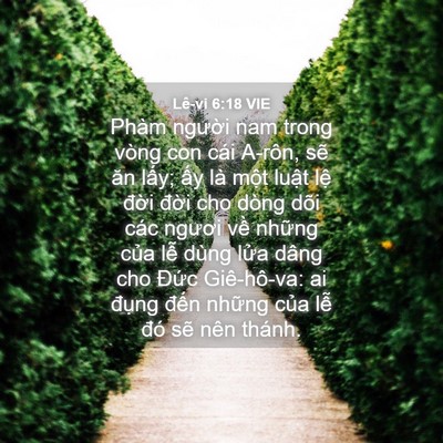 Picture 04 - Lê-vi 6:18 VIE - Phàm người nam trong vòng con cái A-rôn, - Bible Verse Picture