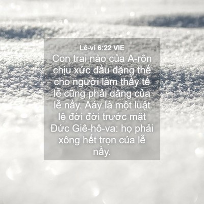 Picture 04 - Lê-vi 6:22 VIE - Con trai nào của A-rôn chịu xức dầu - Bible Verse Picture
