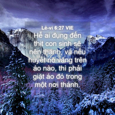 Picture 04 - Lê-vi 6:27 VIE - Hễ ai đụng đến thịt con sinh sẽ nên - Bible Verse Picture