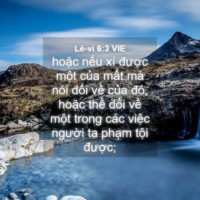 Picture 04 - Lê-vi 6:3 VIE - hoặc nếu xí được một của mất mà - Bible Verse Picture