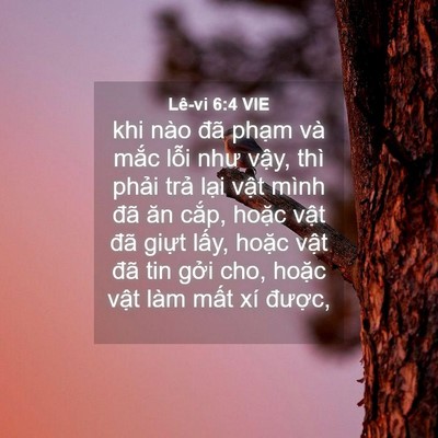 Picture 04 - Lê-vi 6:4 VIE - khi nào đã phạm và mắc lỗi như vậy, - Bible Verse Picture
