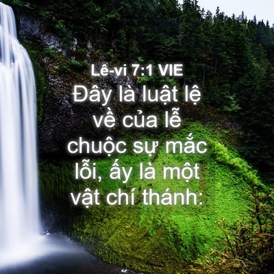 Picture 04 - Lê-vi 7:1 VIE - Đây là luật lệ về của lễ chuộc - Bible Verse Picture