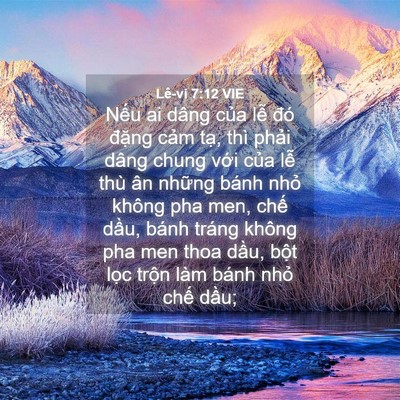 Picture 04 - Lê-vi 7:12 VIE - Nếu ai dâng của lễ đó đặng cảm - Bible Verse Picture