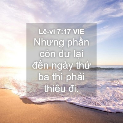 Picture 04 - Lê-vi 7:17 VIE - Nhưng phần còn dư lại đến ngày thứ - Bible Verse Picture