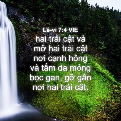 Picture 04 - Lê-vi 7:4 VIE - hai trái cật và mỡ hai trái cật nơi - Bible Verse Picture