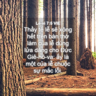 Picture 04 - Lê-vi 7:5 VIE - Thầy tế lễ sẽ xông hết trên bàn - Bible Verse Picture
