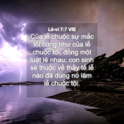 Picture 04 - Lê-vi 7:7 VIE - Của lễ chuộc sự mắc lỗi cũng như - Bible Verse Picture