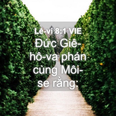Picture 04 - Lê-vi 8:1 VIE - Đức Giê-hô-va phán cùng Môi-se - Bible Verse Picture