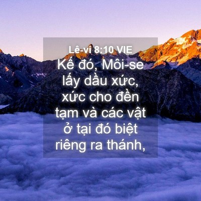 Picture 04 - Lê-vi 8:10 VIE - Kế đó, Môi-se lấy dầu xức, xức cho - Bible Verse Picture