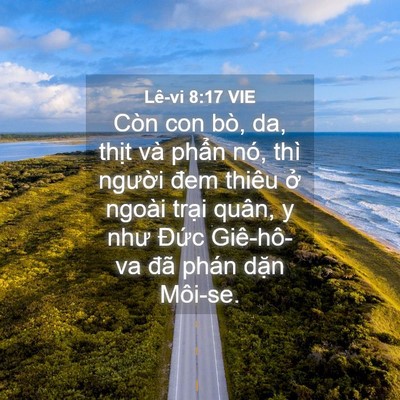 Picture 04 - Lê-vi 8:17 VIE - Còn con bò, da, thịt và phẩn nó, thì - Bible Verse Picture