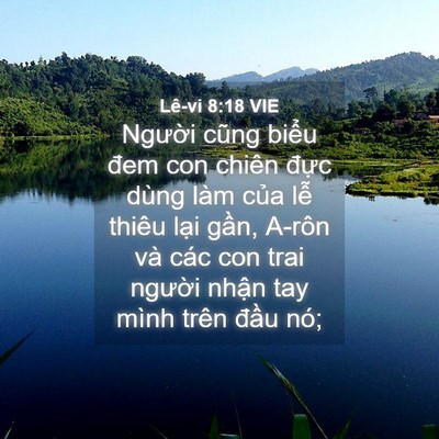 Picture 04 - Lê-vi 8:18 VIE - Người cũng biểu đem con chiên đực - Bible Verse Picture