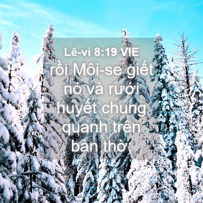 Picture 04 - Lê-vi 8:19 VIE - rồi Môi-se giết nó và rưới huyết - Bible Verse Picture