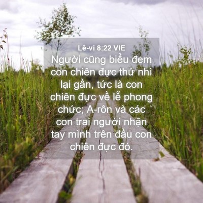 Picture 04 - Lê-vi 8:22 VIE - Người cũng biểu đem con chiên đực - Bible Verse Picture