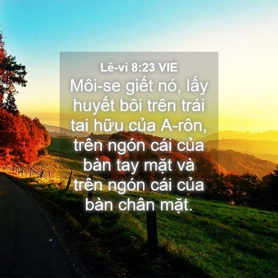 Picture 04 - Lê-vi 8:23 VIE - Môi-se giết nó, lấy huyết bôi trên - Bible Verse Picture