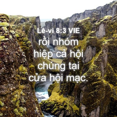Picture 04 - Lê-vi 8:3 VIE - rồi nhóm hiệp cả hội chúng tại cửa - Bible Verse Picture