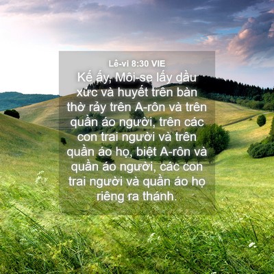 Picture 04 - Lê-vi 8:30 VIE - Kế ấy, Môi-se lấy dầu xức và huyết - Bible Verse Picture