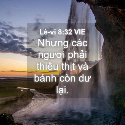 Picture 04 - Lê-vi 8:32 VIE - Nhưng các ngươi phải thiêu thịt và - Bible Verse Picture