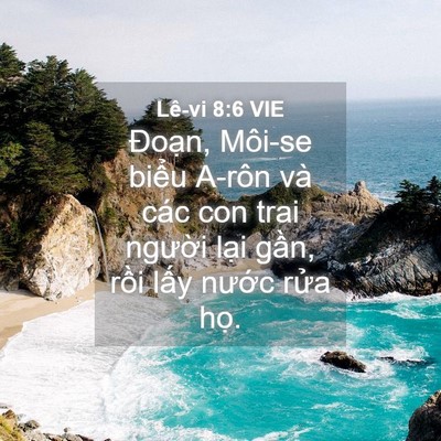 Picture 04 - Lê-vi 8:6 VIE - Đoạn, Môi-se biểu A-rôn và các con trai - Bible Verse Picture