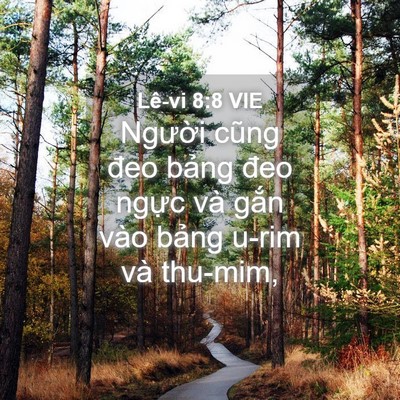 Picture 04 - Lê-vi 8:8 VIE - Người cũng đeo bảng đeo ngực và gắn - Bible Verse Picture