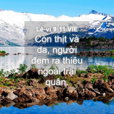 Picture 04 - Lê-vi 9:11 VIE - Còn thịt và da, người đem ra thiêu - Bible Verse Picture