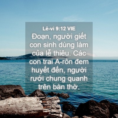 Picture 04 - Lê-vi 9:12 VIE - Đoạn, người giết con sinh dùng làm - Bible Verse Picture