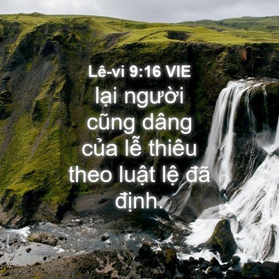 Picture 04 - Lê-vi 9:16 VIE - lại người cũng dâng của lễ thiêu theo - Bible Verse Picture