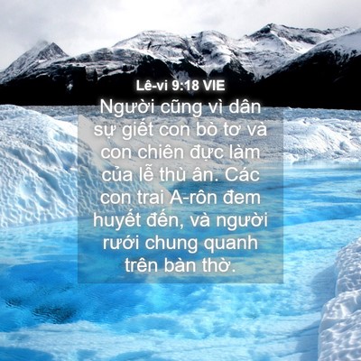 Picture 04 - Lê-vi 9:18 VIE - Người cũng vì dân sự giết con bò tơ - Bible Verse Picture