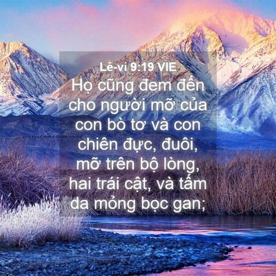 Picture 04 - Lê-vi 9:19 VIE - Họ cũng đem đến cho người mỡ của - Bible Verse Picture