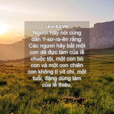 Picture 04 - Lê-vi 9:3 VIE - Ngươi hãy nói cùng dân Y-sơ-ra-ên rằng: - Bible Verse Picture