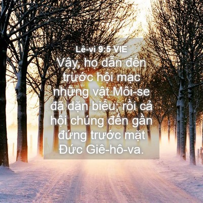 Picture 04 - Lê-vi 9:5 VIE - Vậy, họ dẫn đến trước hội mạc - Bible Verse Picture