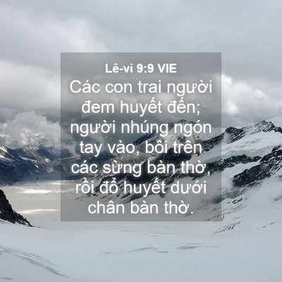 Picture 04 - Lê-vi 9:9 VIE - Các con trai người đem huyết đến; - Bible Verse Picture