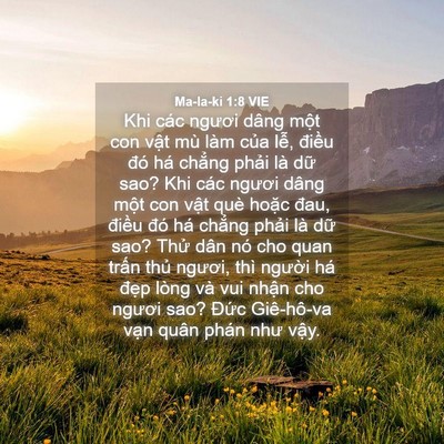 Picture 04 - Ma-la-ki 1:8 VIE - Khi các ngươi dâng một con vật mù làm - Bible Verse Picture